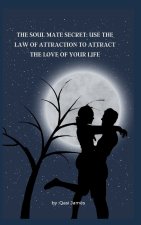 THE SOUL MATE SECRET