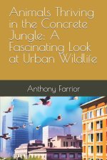 Animals Thriving in the Concrete Jungle