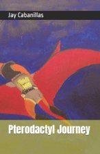 Pterodactyl Journey