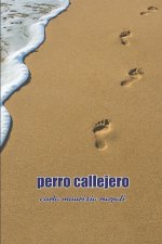 Perro Callejero