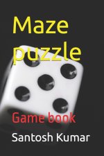 Maze puzzle