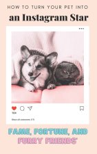 How to Turn Your Pet into an Instagram Star