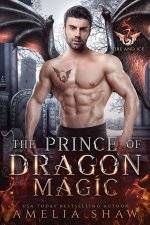 The Prince of Dragon Magic