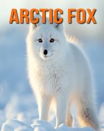 Arctic Fox
