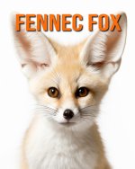 Fennec Fox