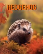 Hedgehog