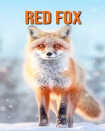 Red Fox