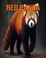 Red Panda