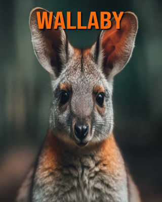 Wallaby