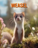 Weasel