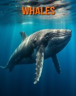 Whales