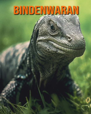 Bindenwaran
