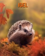 Igel