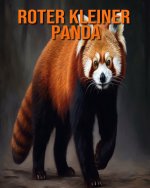 Roter kleiner Panda