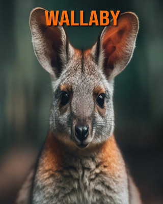 Wallaby