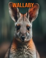 Wallaby