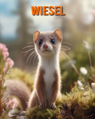 Wiesel
