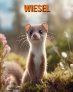 Wiesel