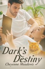 Dark's Destiny