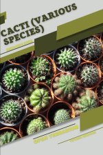 Cacti (various species)