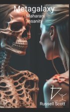 Metagalaxy