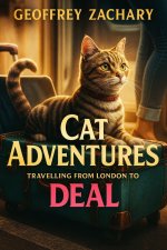CAT ADVENTURES