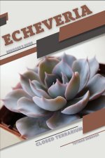Echeveria