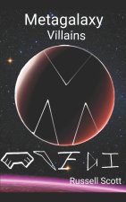 Metagalaxy