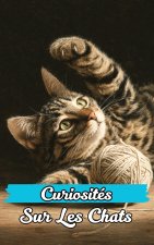 Curiosités sur les Chats