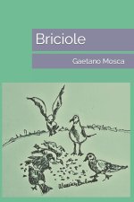 Briciole