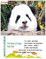 The Story of Lotus