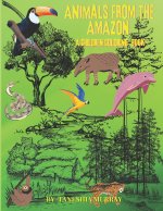 Animals from the Amazon