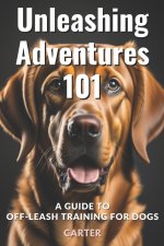 Unleashing Adventures