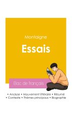 REUSSIR SON BAC DE FRANCAIS 2026 ANALYSE