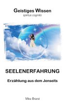 Seelenerfahrung