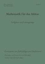 Mathematik für das Abitur
