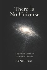 There Is No Universe