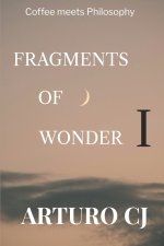 FRAGMENTS OF WONDER I