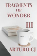 FRAGMENTS OF WONDER III