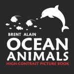 Ocean Animals
