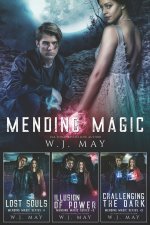 Mending Magic Series