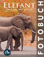 Elefant