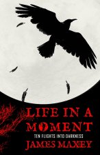 Life in a Moment