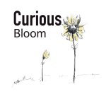 Curious Bloom