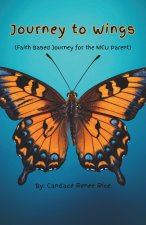 Journey to Wings