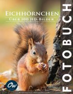 Eichhörnchen