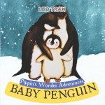 Pippin's Wonder Adventures