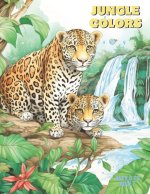 Jungle Colors