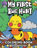 My First Bug Hunt