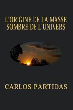 L'ORIGINE DE LA MASSE SOMBRE DE L'UNIVERS